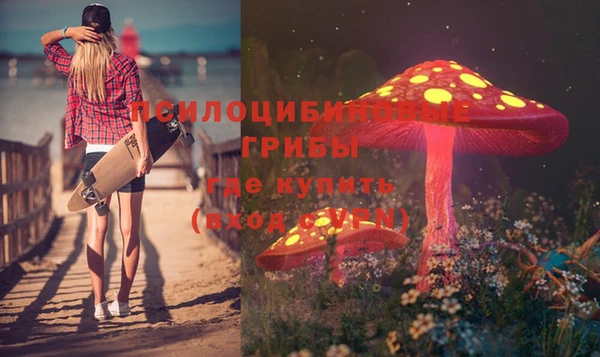 шишки Алзамай